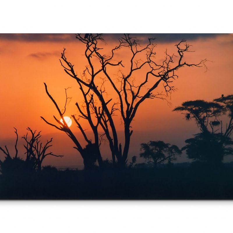 120x80cm Wandbild Afrika Sonnenuntergang Bäume