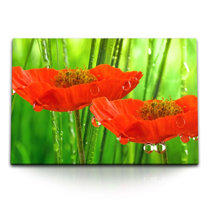 120x80cm Wandbild auf Leinwand Rote Blume Blüten Morgentau Wassertropfen Mohnblume