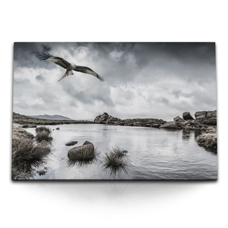 120x80cm Wandbild auf Leinwand Adler Weißkopfadler USA See Natur grauer Himmel