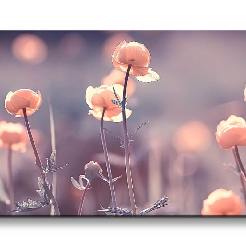 Leinwandbild 120x60cm Feldblumen Wildblumen Blumen Blüten Frühling Natur