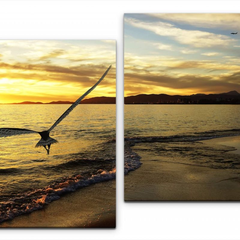 Adler am Strand Wandbild in verschiedenen Größen