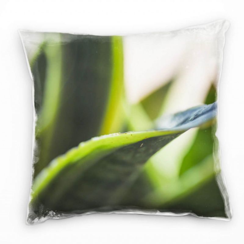 Macro, Natur, Kaktusblatt, unscharf, grün Deko Kissen 40x40cm für Couch Sofa Lounge Zierkissen