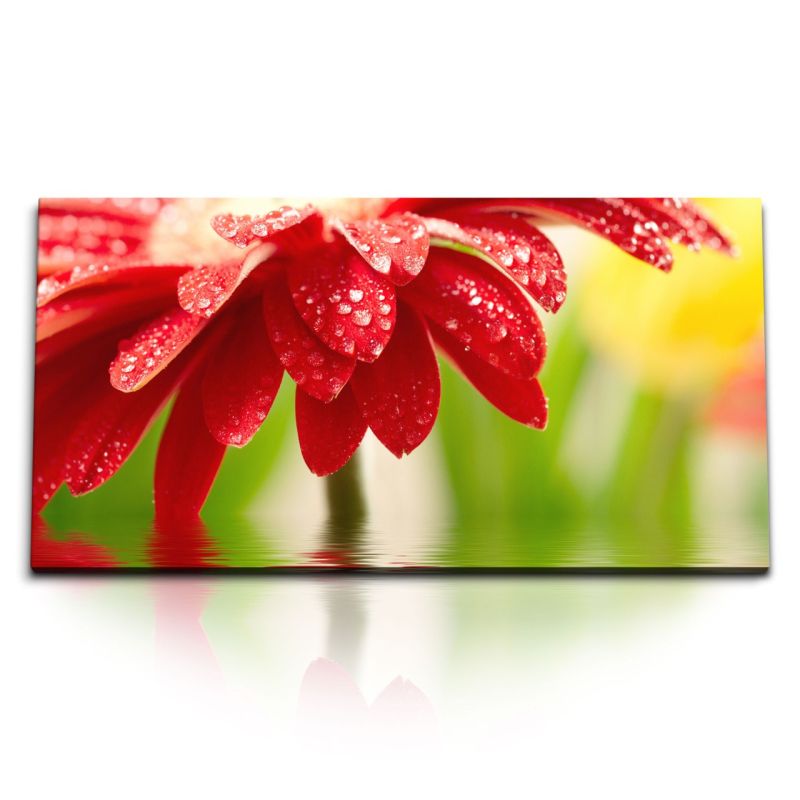 Kunstdruck Bilder 120x60cm Gerbera Blüte rote Blume Wassertropfen Sonnenschein