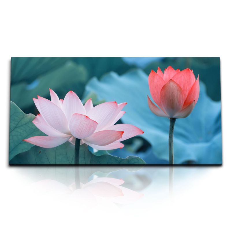 Kunstdruck Bilder 120x60cm Lotos Blumen Asien Lotosblüte rote Blüte Wasserblumen