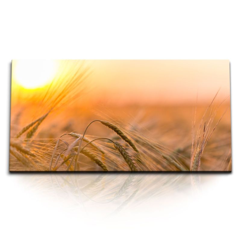 Kunstdruck Bilder 120x60cm Sommer Sonnenuntergang Feld Natur Weizen