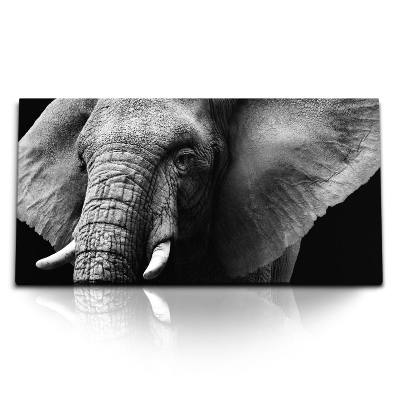 Kunstdruck Bilder 120x60cm Schwarz Weiß Tierfotografie Elefant Kunstvoll