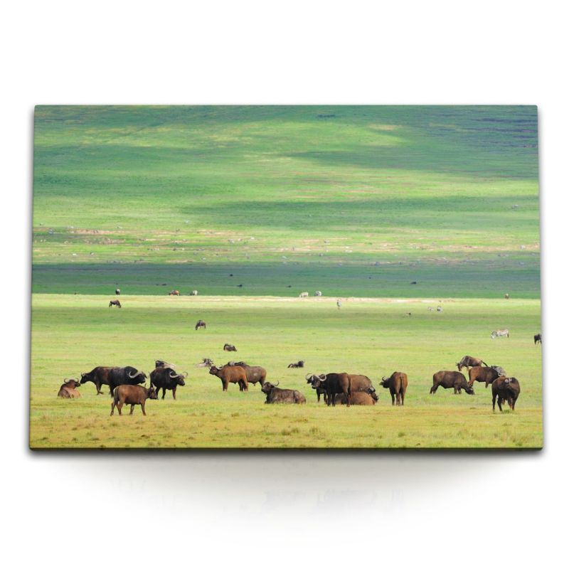 120x80cm Wandbild auf Leinwand Büffelherde Büffel Natur Tierfotografie Natur Landschaft