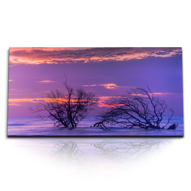 Kunstdruck Bilder 120x60cm Bäume im Wasser Meer Sonnenuntergang rosa Himmel