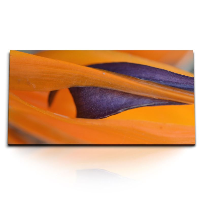 Kunstdruck Bilder 120x60cm Exotische Blume Nahaufnahme Orange Dekorativ