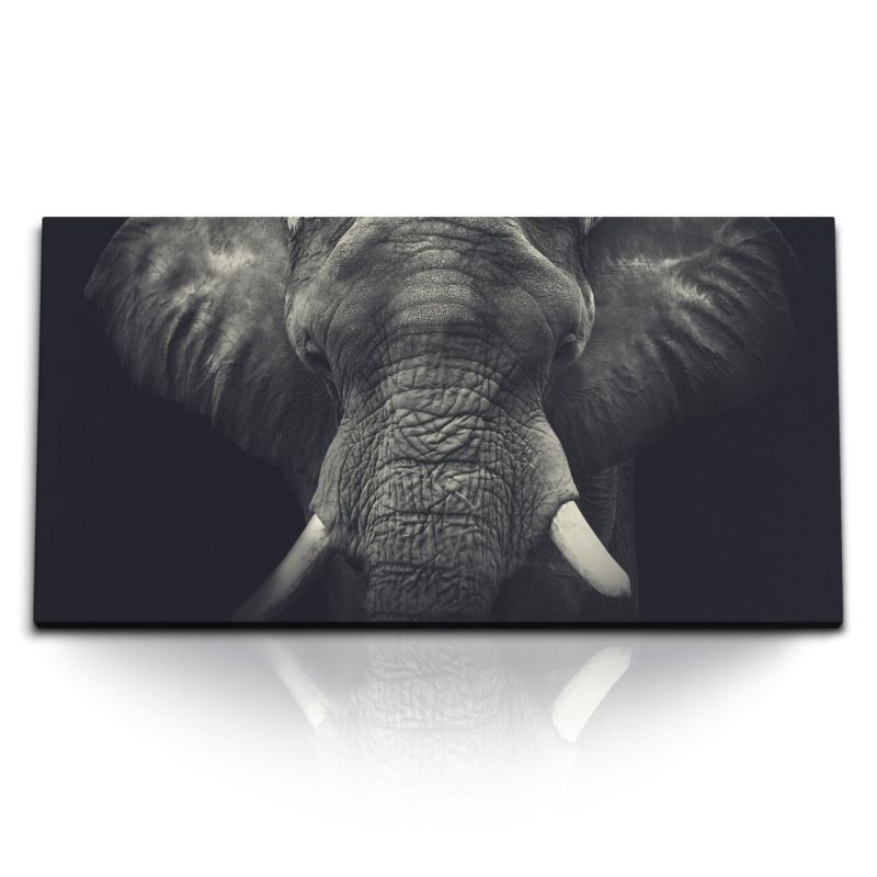 Kunstdruck Bilder 120x60cm Elefanten Porträt Tierfotografie Dunkel Schwarz