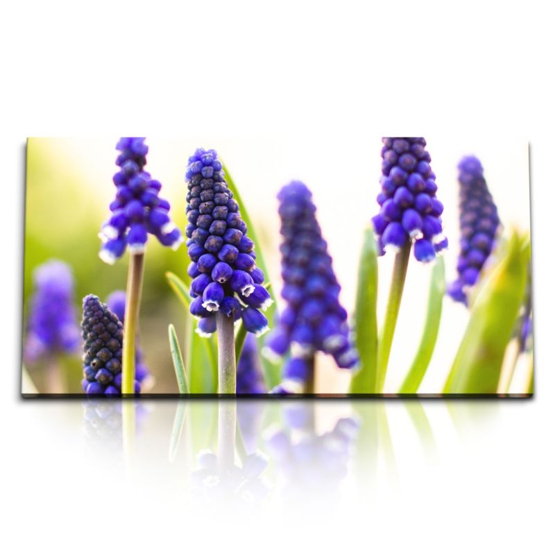 Kunstdruck Bilder 120x60cm Lavendel Nahaufnahme Violett Natur Grün