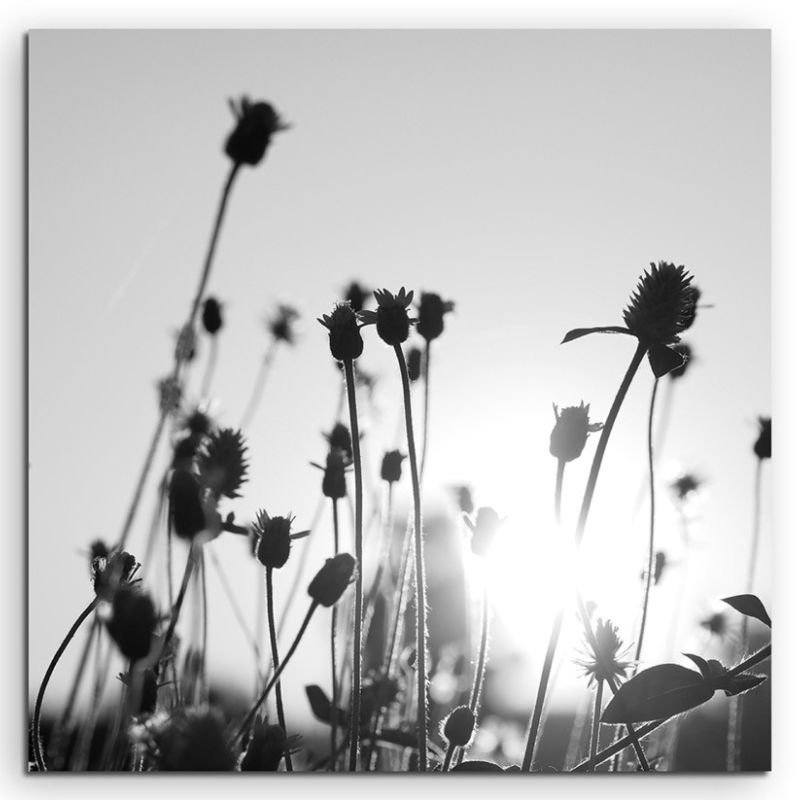 Künstlerische Fotografie – Knospen in der Sonne auf Leinwand