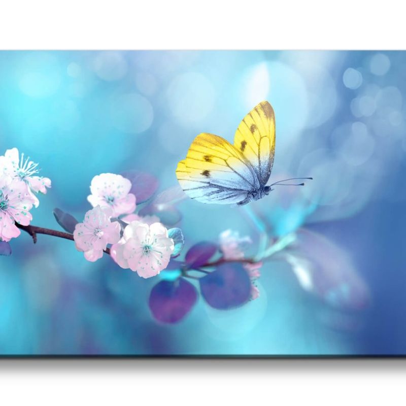 Leinwandbild 120x60cm Baumblüte Kirschblüte Frühling Schmetterling Natur