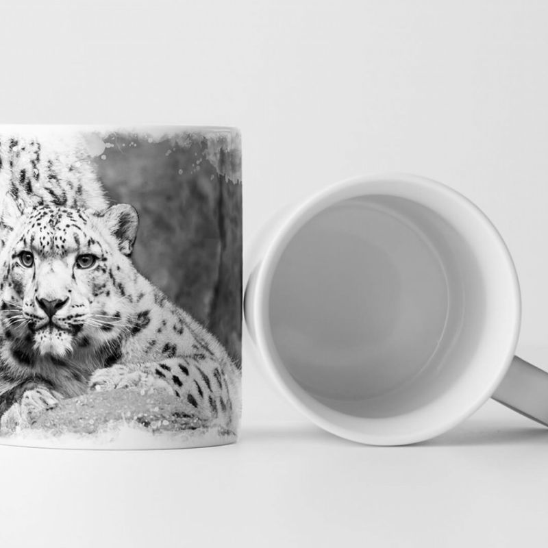 Tasse Geschenk Tierfotografie – Zwei Schneeleoparden