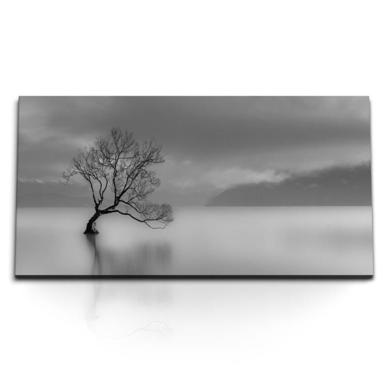 Kunstdruck Bilder 120x60cm Schwarz Weiß Fotografie Baum im See Grau Monochrom