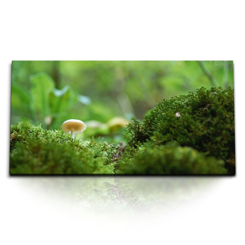 Kunstdruck Bilder 120x60cm Kleine Pilz am Wald Natur Waldboden Grün