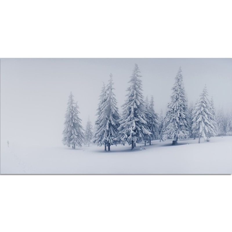 120x60cm Winter Bäume Schnee Landschaft