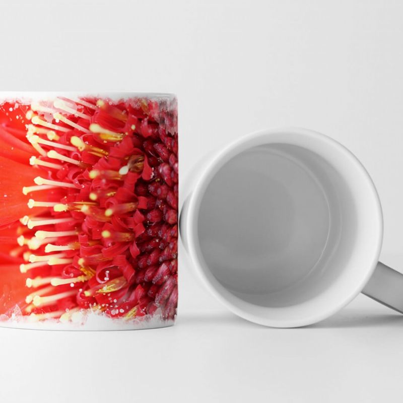 Tasse Geschenk Naturfotografie – Nahaufnahme einer roten Gerbera Pflanze