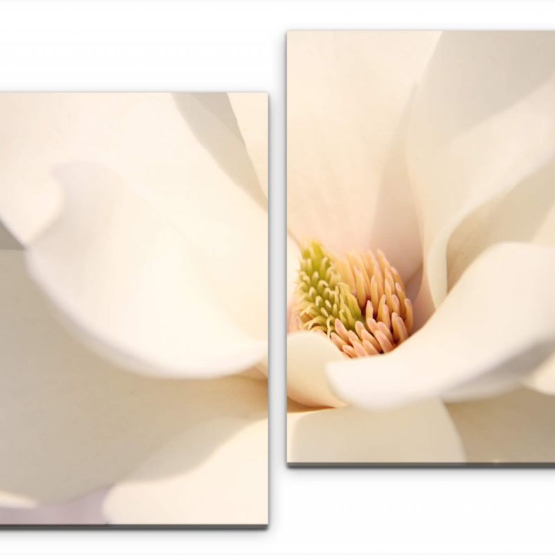 weiße Magnolienblüte Nahaufnahme Wandbild in verschiedenen Größen