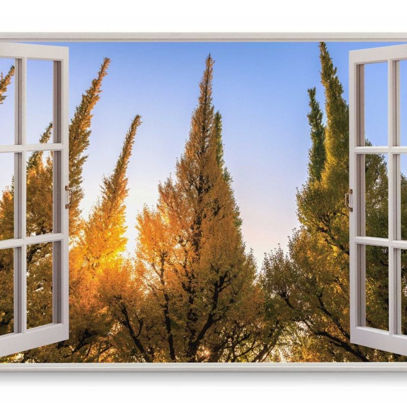 Wandbild 120x80cm Fensterbild Blauer Himmel Bäume Sonnenuntergang Natur