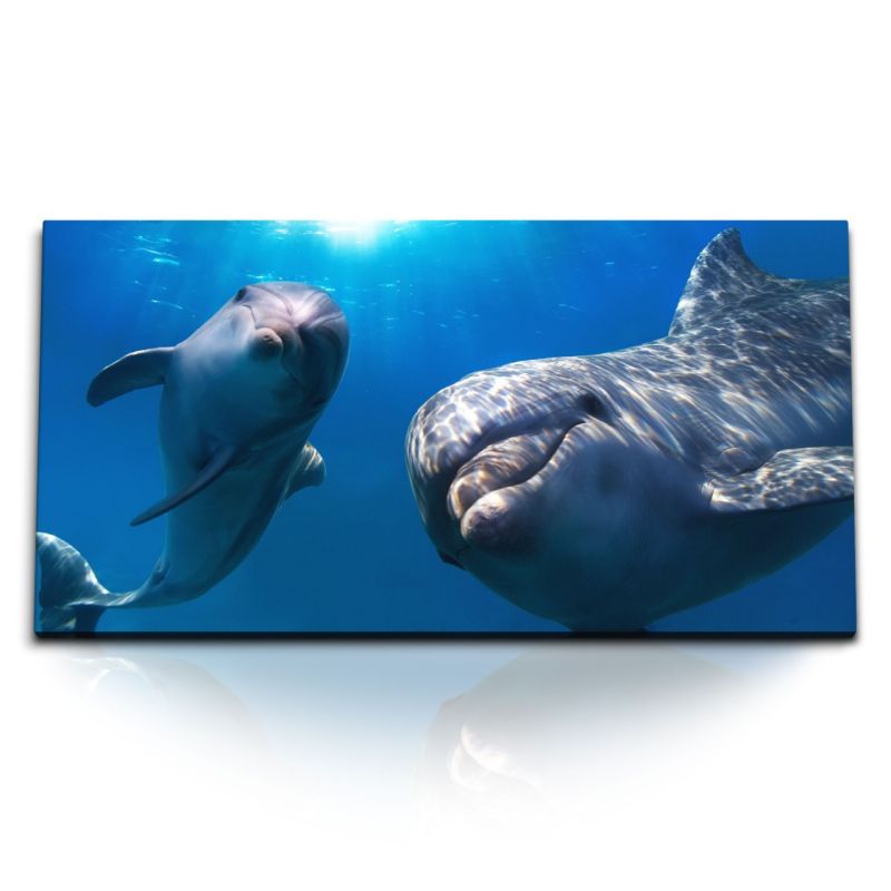 Kunstdruck Bilder 120x60cm Delphine unter Wasser Meer Ozean Tierfotografie Blau