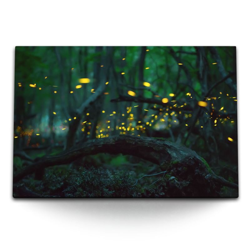 120x80cm Wandbild auf Leinwand Wald Dunkel Leichtkäfer Natur Bäume Nacht