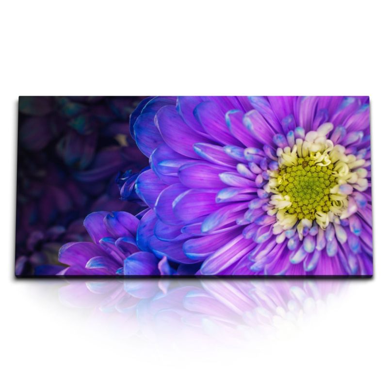 Kunstdruck Bilder 120x60cm Violette Blumen Blüten Makrofotografie Natur