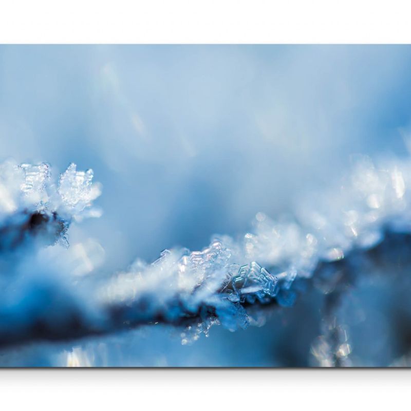 Eiskristalle  Winter – Leinwandbild