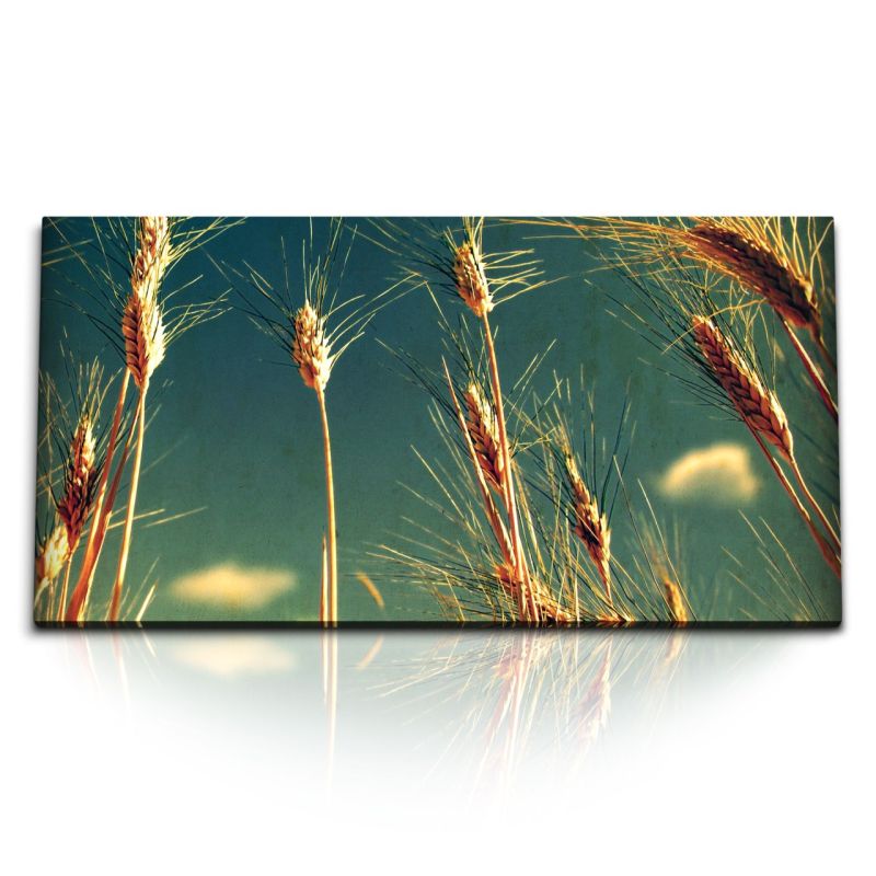 Kunstdruck Bilder 120x60cm Weizen Weizenhalme Halme Himmel Kunstvoll Sommer