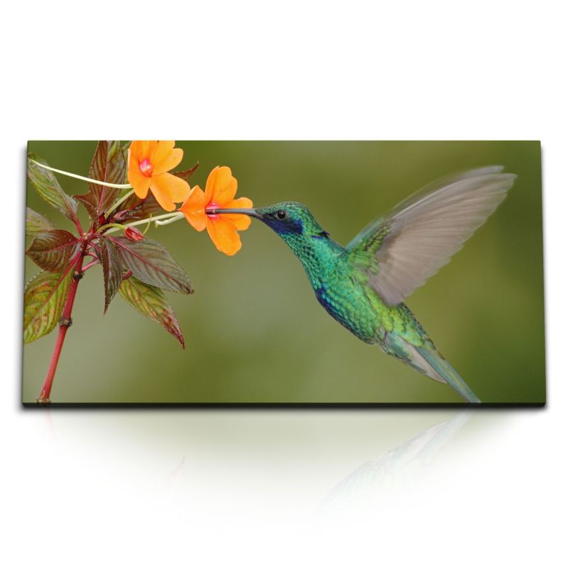 Kunstdruck Bilder 120x60cm Exotische Blume Kolibri kleiner Vogel Tropisch