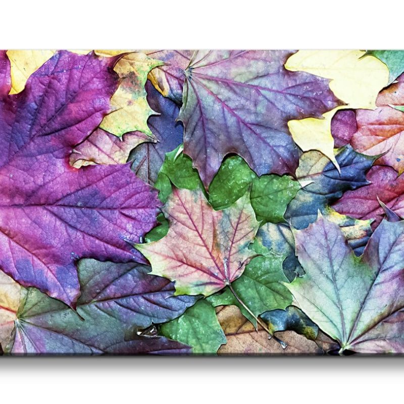 Leinwandbild 120x60cm Laub Blätter Herbst Farbenfroh Herbstblätter Schön Kunstvoll