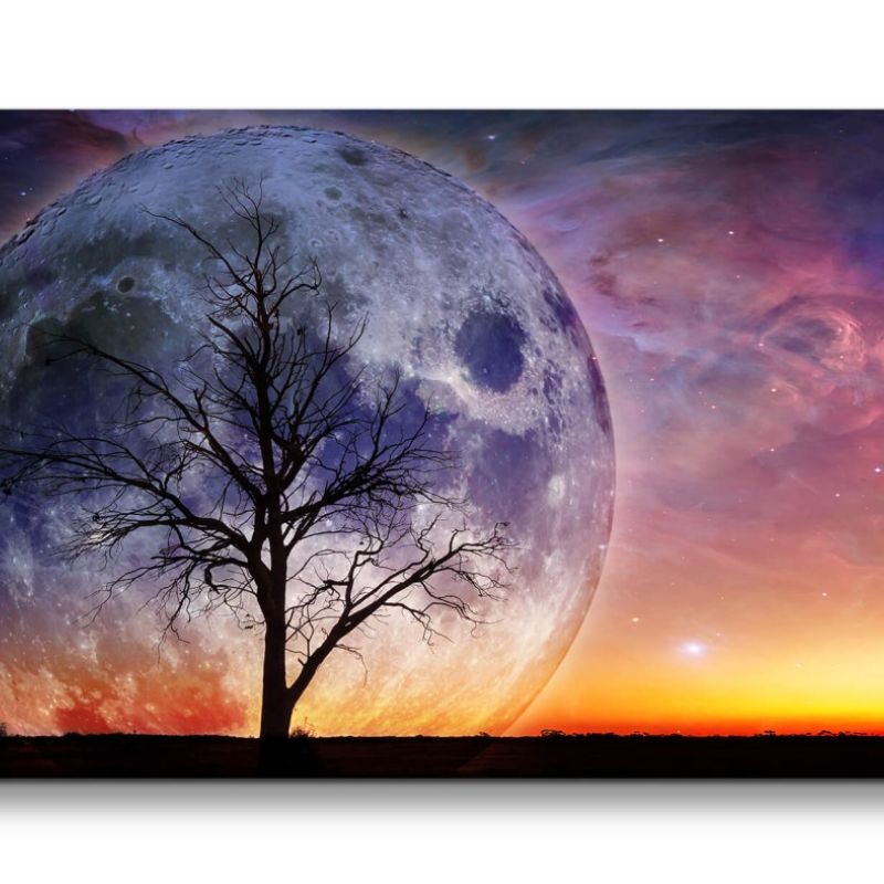 Leinwandbild 120x60cm Vollmond Baum Fantasievoll Märchenhalt Zauberhaft