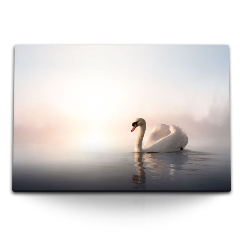 120x80cm Wandbild auf Leinwand Schwan See Nebel Natur Schwanensee Weiß