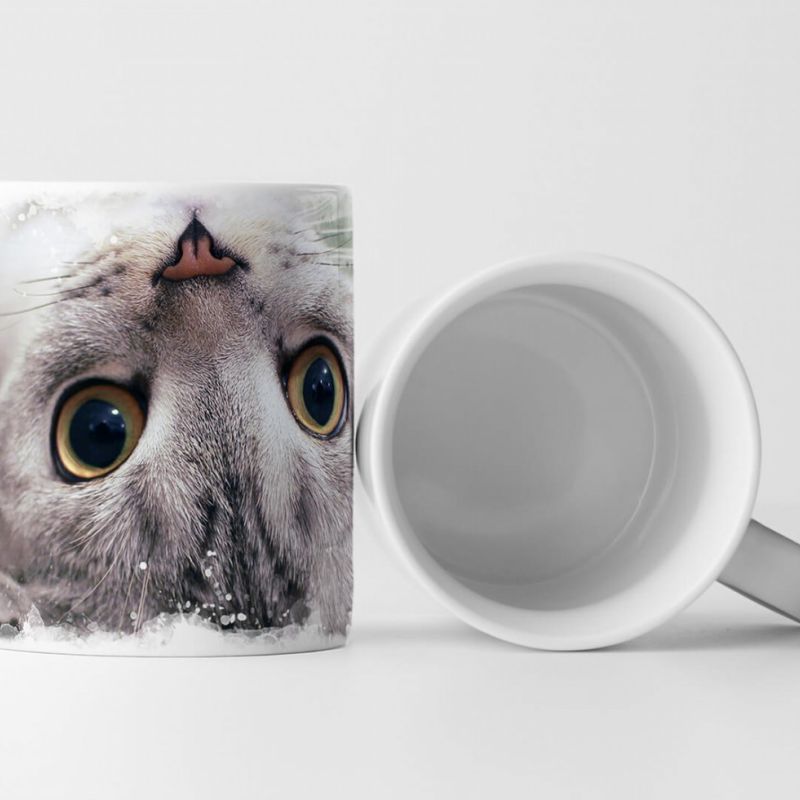 Tasse Geschenk Tierfotografie – Liegende Katze auf dem Rücken