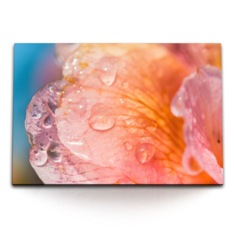 120x80cm Wandbild auf Leinwand Makrofotografie Blume Blüte Wassertropfen Orange