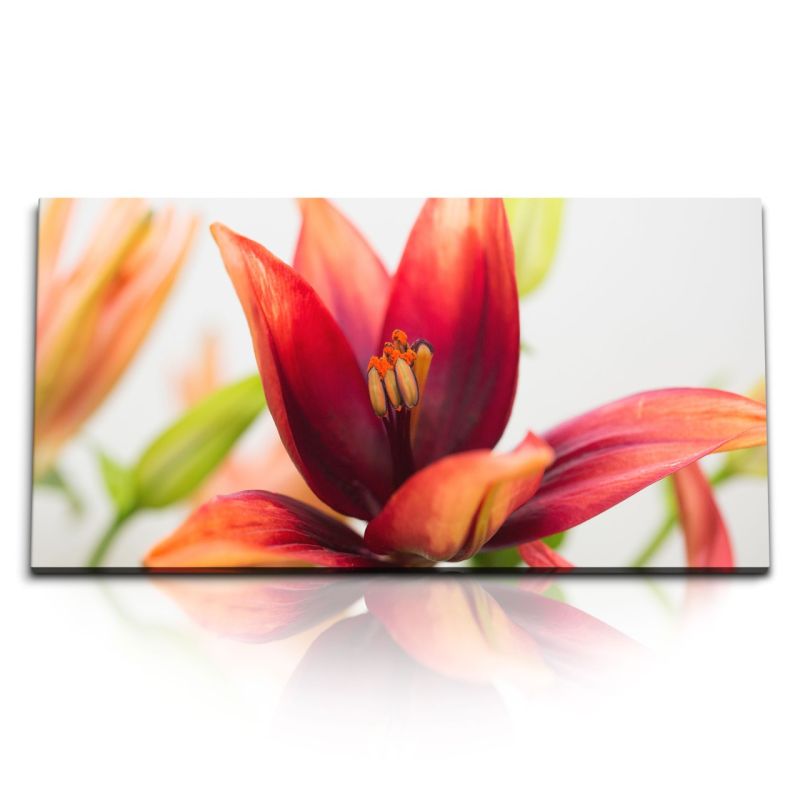 Kunstdruck Bilder 120x60cm Rote Lilie Blume Blüten Makrofotografie Natur