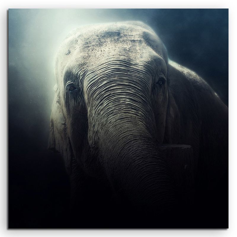 Tierfotografie – Elefant im Nebel auf Leinwand