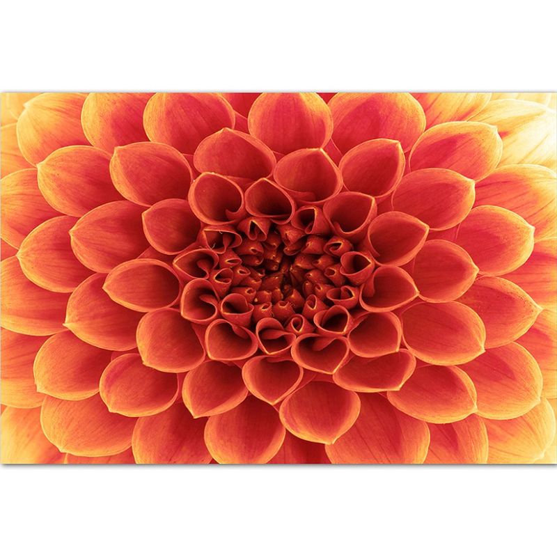 120x80cm Blume Blütenblätter makro rot