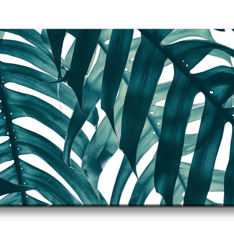 Leinwandbild 120x60cm Fensterblatt Monstera Blätter Dekorativ Zimmerpflanze