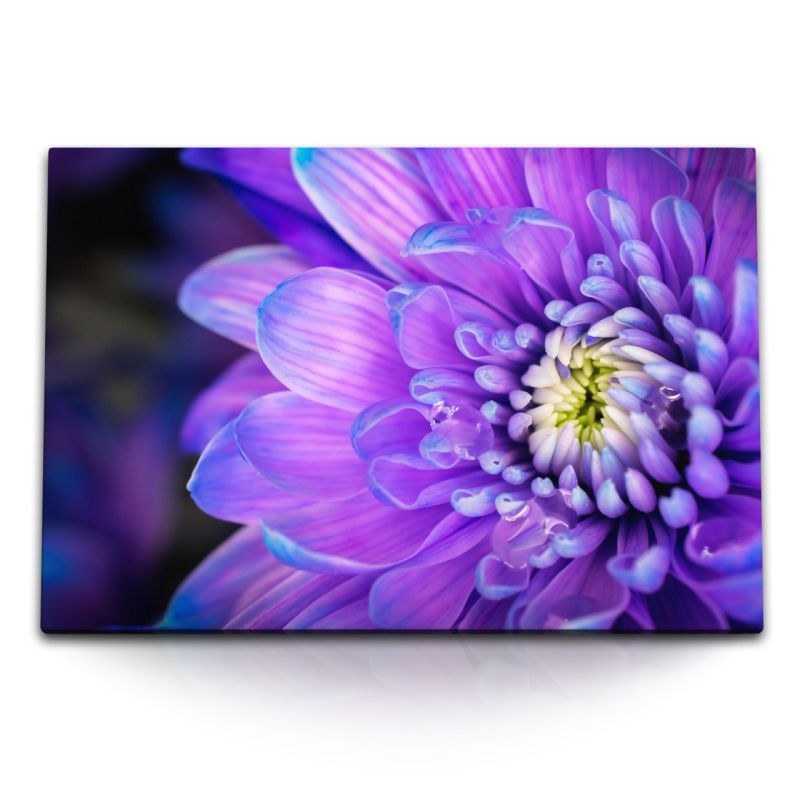 120x80cm Wandbild auf Leinwand Blume Blüte Lila Violett Nahaufnahme Kunstvoll