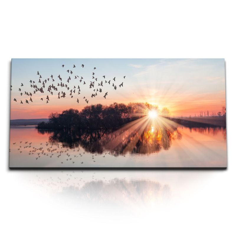 Kunstdruck Bilder 120x60cm Natur See Insel Vogelschwarm Sonnenuntergang Abendrot