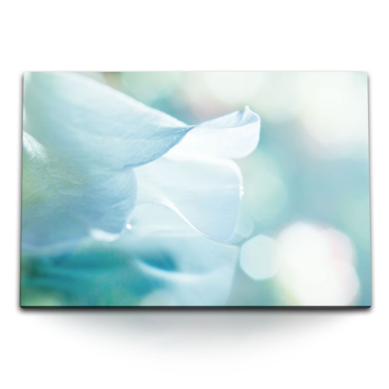 120x80cm Wandbild auf Leinwand Weiße Blüte Blume Hell Hellblau Makrofotografie