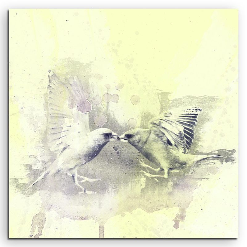 Birds 60x60cm  Aquarell Art Leinwandbild