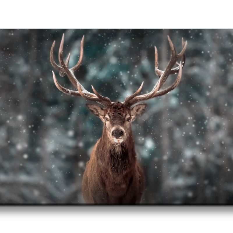 Leinwandbild 120x60cm Hirsch Hirschgeweih Wald Schnee schönes Tier Natur