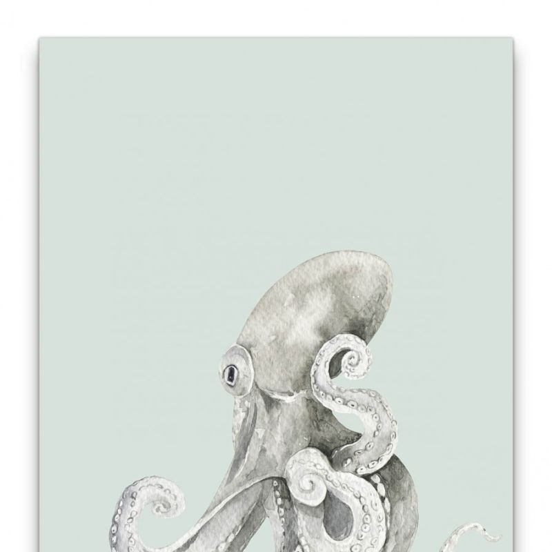 Oktopus Aquarell Modern Minimalistisch Kunstvoll Dekorativ Grautöne