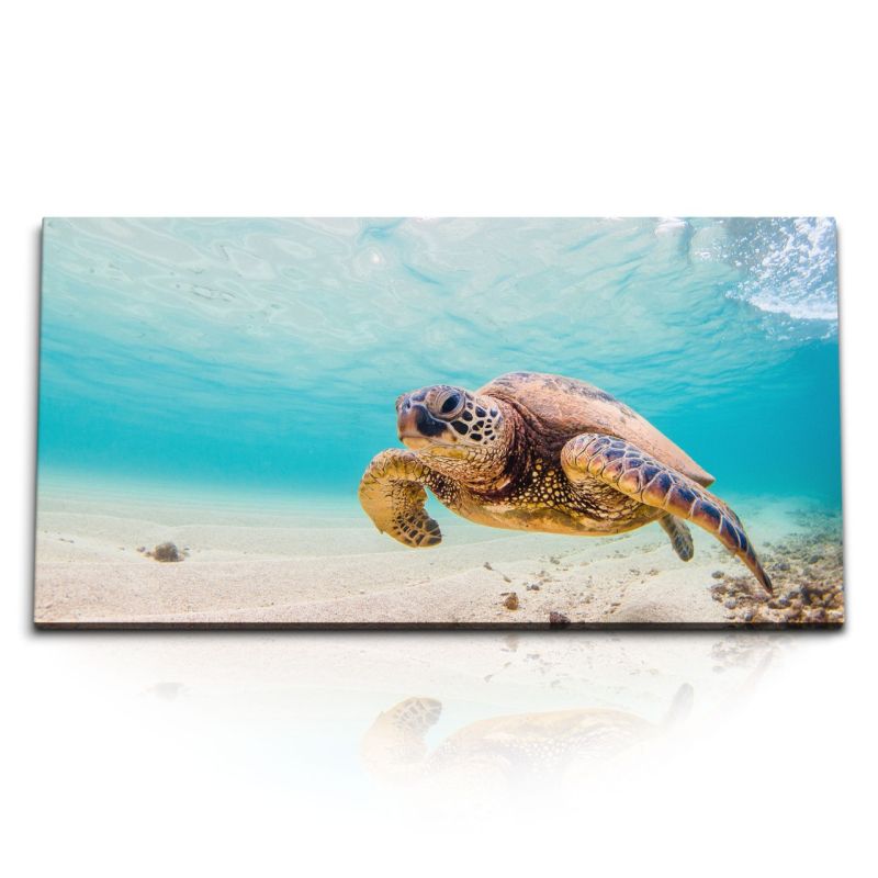 Kunstdruck Bilder 120x60cm Seeschildkröte unter Wasser Wasserschildkröte Hellblau