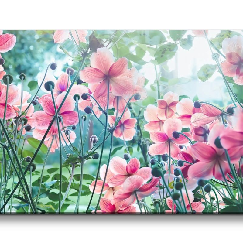 Leinwandbild 120x60cm Schöne Blumen Blüten Frühling Natur Sonnenschein