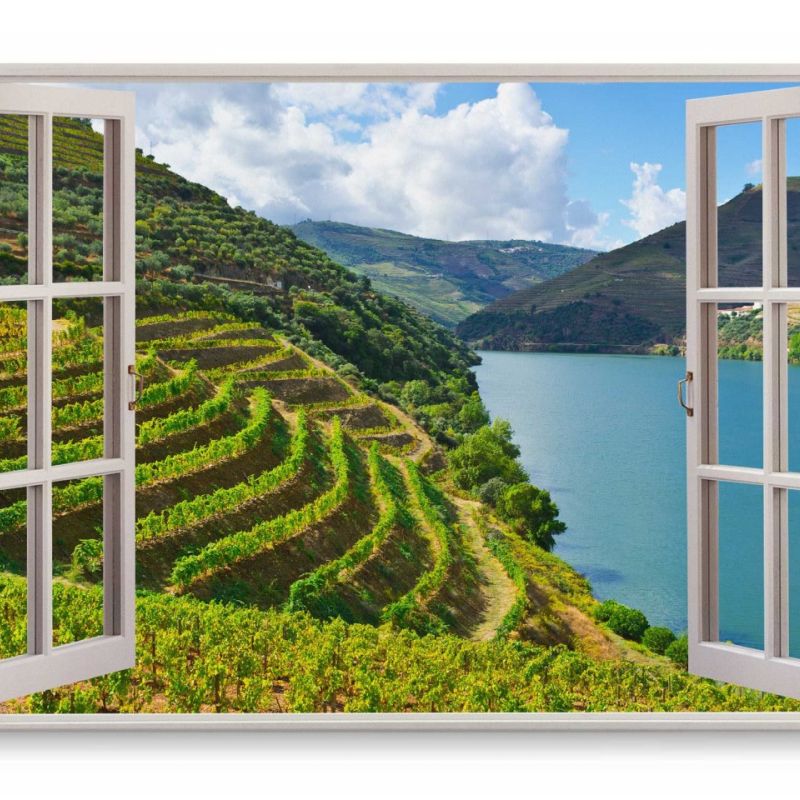 Wandbild 120x80cm Fensterbild Weinberg Weinanbau Landschaft See Natur Grün