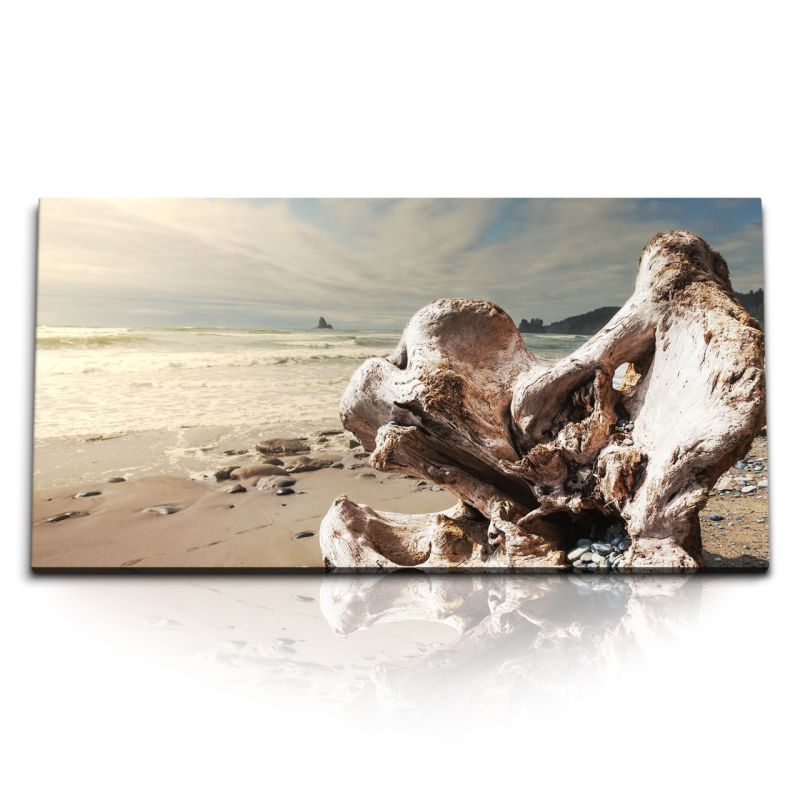 Kunstdruck Bilder 120x60cm Treibholz Strand Meer Sandstrand Ozean