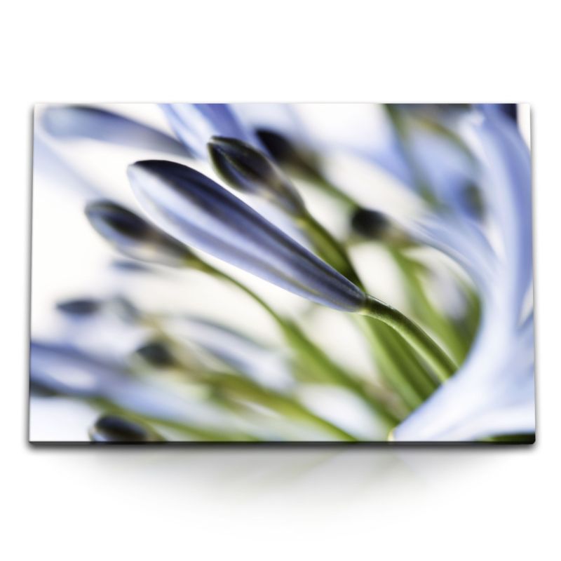 120x80cm Wandbild auf Leinwand Fotokunst Blumen Blüten Makrofotografie Hellblau